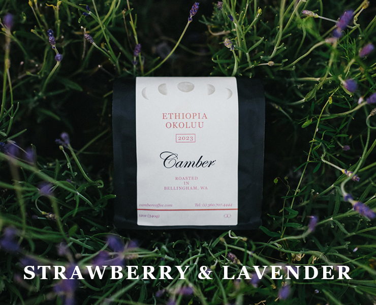 banner advertising camber coffee roasters ethiopia okoluu with notes of strawberry and lavender